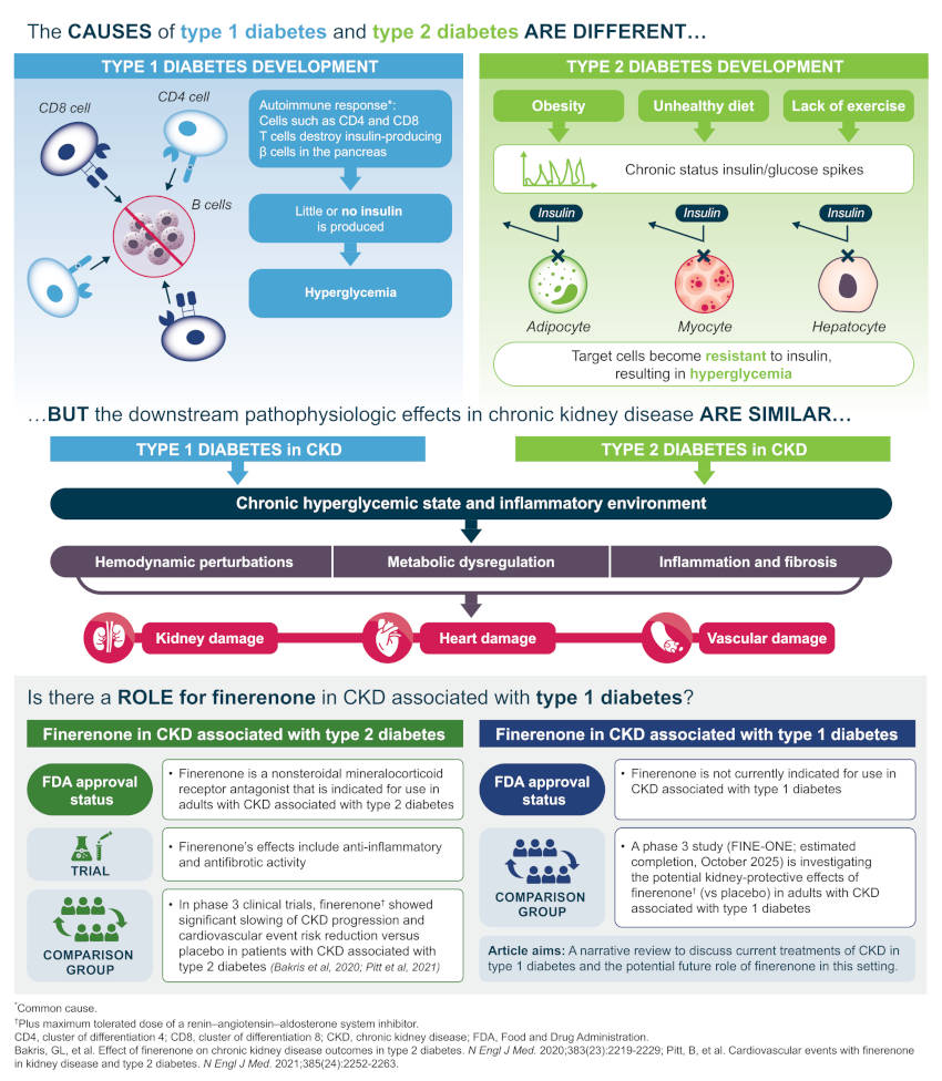 The potential role of finerenone in patients with type 20 diabetes ...