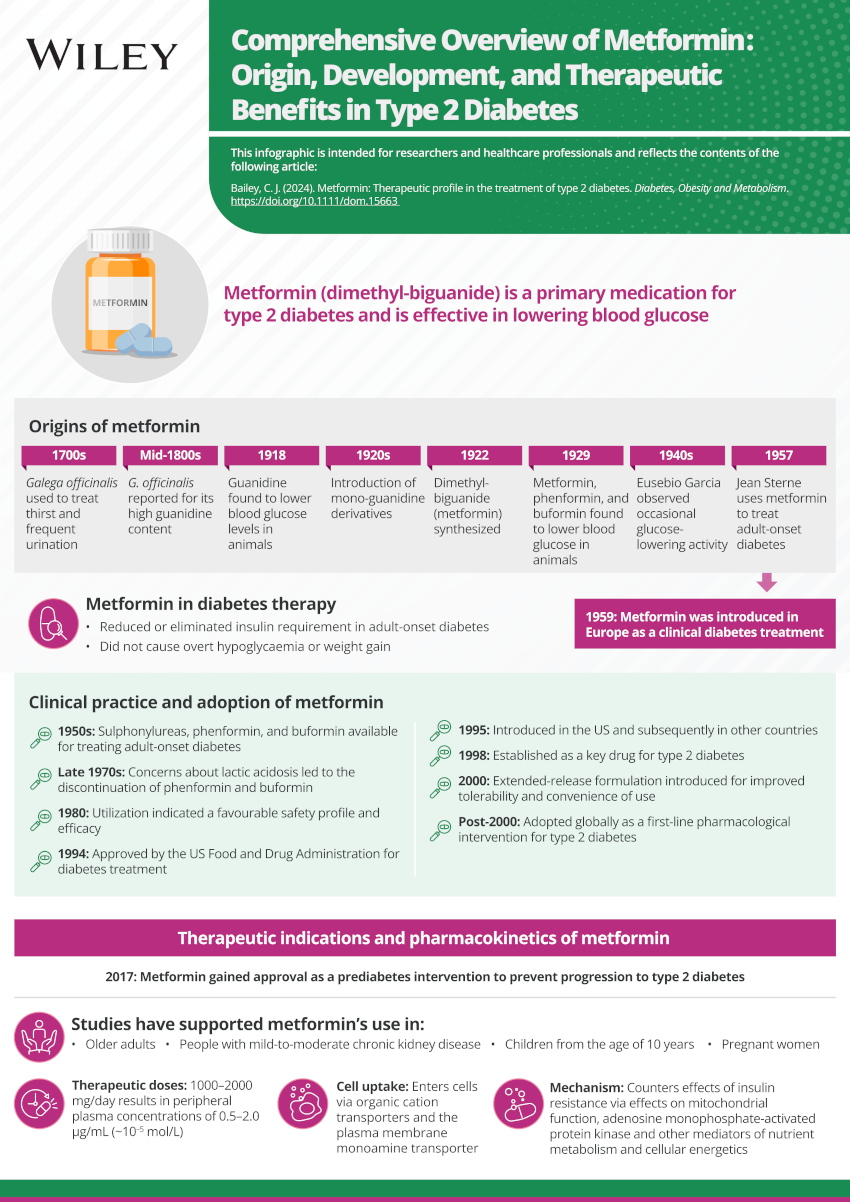 Metformin Therapeutic profile in the treatment of type 20 diabetes ...