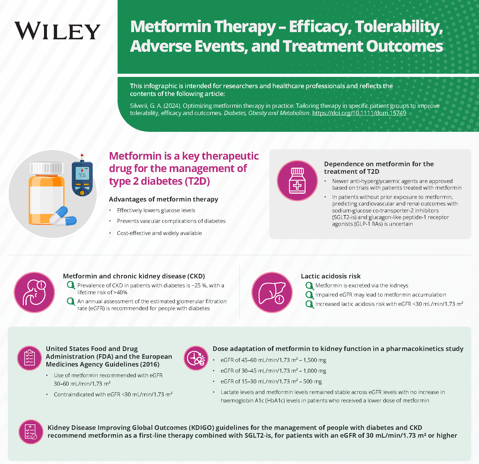 Optimizing metformin therapy in practice Tailoring therapy in ...